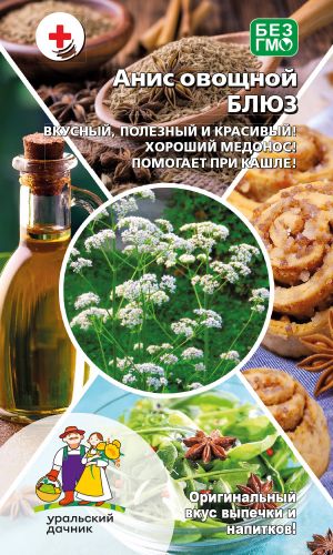 Анис овощной БЛЮЗ — Ценится за особый аромат! Семена используют в кондитерском производстве! Зелень в салатах и при консервировании просто незаменимы!