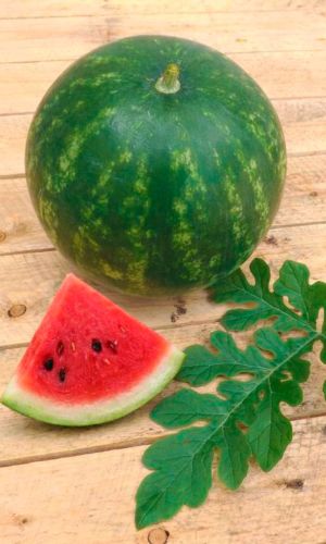 Арбуз САМЫЙ ПЕРВЫЙ