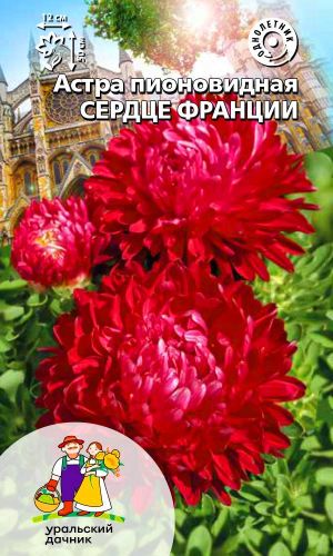 Астра СЕРДЦЕ ФРАНЦИИ