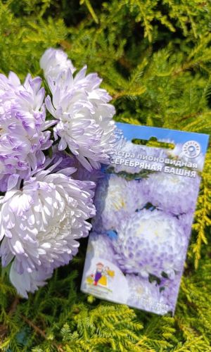 Астра СЕРЕБРЯНАЯ БАШНЯ