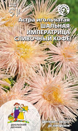 Астра ШАЛЬНАЯ ИМПЕРАТРИЦА СЛИВОЧНЫЙ КОФЕ