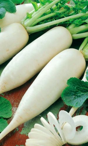 Дайкон МИНОВАСИ