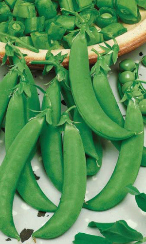 Горох АМБРОЗИЯ 5 г