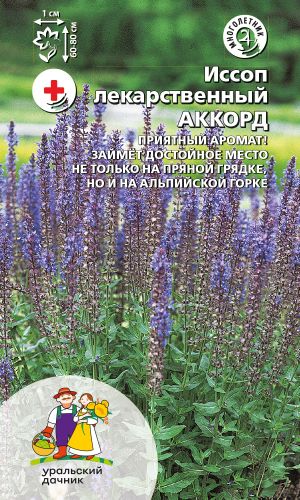 Иссоп АККОРД — Приятный аромат! Займёт достойное место не только на пряной грядке, но и на альпийской горке!