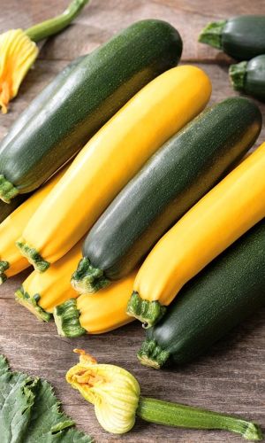 Кабачок НИ ЗАБОТ, НИ ХЛОПОТ