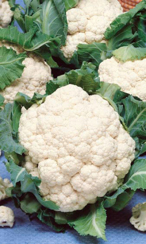 Капуста цветная ПАРИЖАНКА