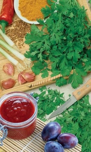 Кориандр (Кинза) ТКЕМАЛИ