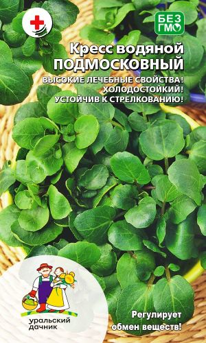 Кресс водяной ПОДМОСКОВНЫЙ — Регулирует обмен веществ! Высокие лечебные свойства! Холодостойкий! Устойчив к стрелкованию!