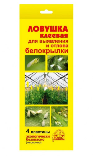 Ловушка клеевая для выявления и отлова белокрылки