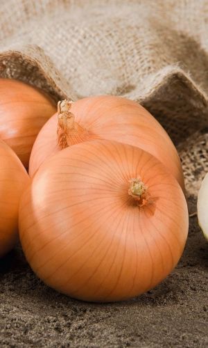 Лук репчатый ОДНОЛЕТНИЙ СИБИРСКИЙ