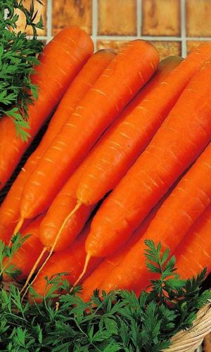 Морковь ХРУСТЯЩЕЕ СЧАСТЬЕ (ЛЕНТА)