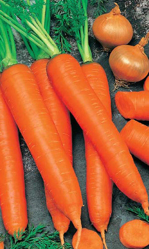 Морковь ЗИМНИЙ ДЕСЕРТ