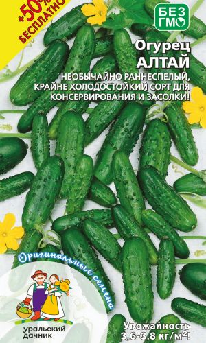 Огурец АЛТАЙ +50% БЕСПЛАТНО