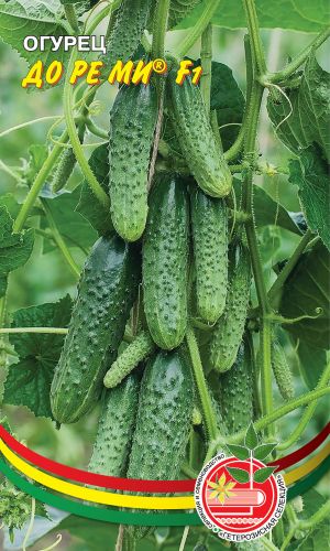 Огурец ДО РЕ МИ® F1