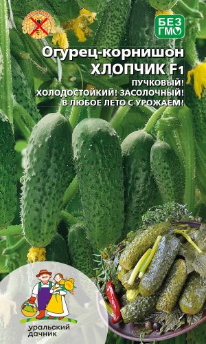 Огурец ХЛОПЧИК F1