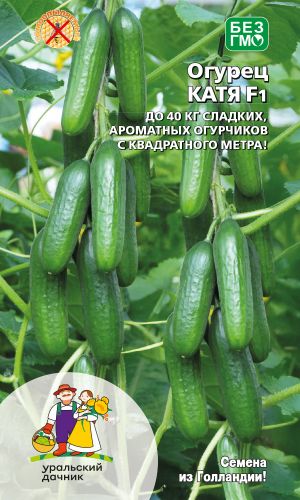Огурец КАТЯ F1