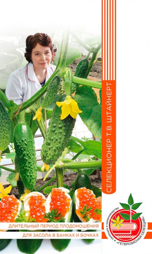 Огурец МАША СИБИРЯЧКА F1 коллекция Татьяны Штайнерт