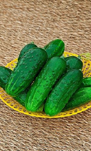 Огурец ВОСТОК