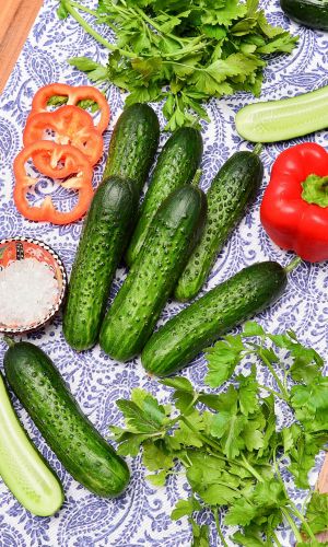 Огурец ВЫСОТКА