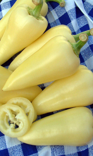 Перец БЕЛОЗЕРКА