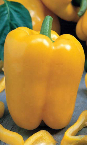 Перец ГИГАНТ ЖЁЛТЫЙ F1