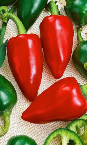 Перец КРАСАВЕЦ ПРИОБЬЯ