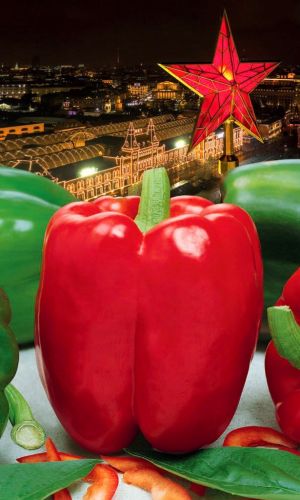 Перец КРАСНАЯ ЗВЕЗДА F1