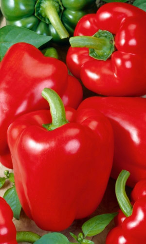 Перец КРАСНЫЙ БОЧОНОК