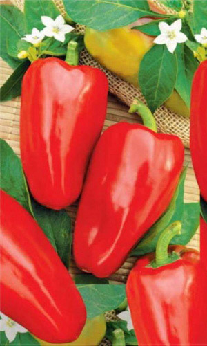 Перец НЕЖНОСТЬ