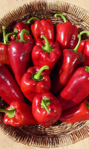 Перец ПЕРВАЯ ЛАСТОЧКА