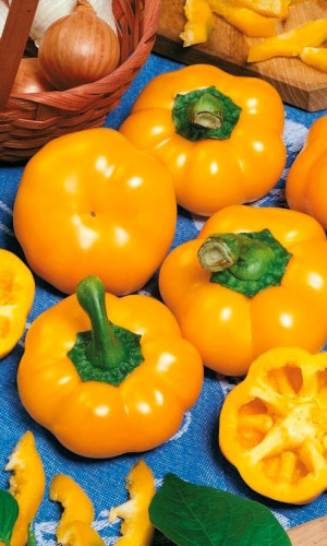 Перец СОЛНЫШКО