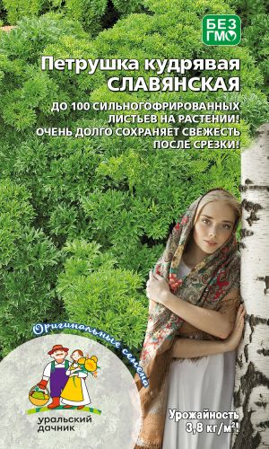 Петрушка кудрявая СЛАВЯНСКАЯ