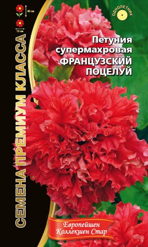 Петуния ФРАНЦУЗСКИЙ ПОЦЕЛУЙ супермахровая