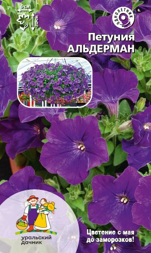 Петуния АЛЬДЕРМАН