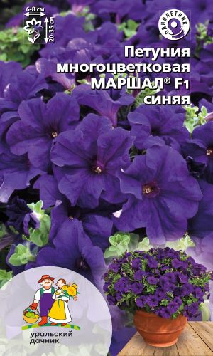 Петуния МАРШАЛ F1 СИНЯЯ