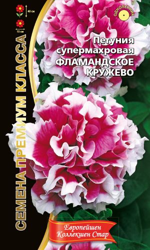 Петуния ФЛАМАНДСКОЕ КРУЖЕВО супермахровая