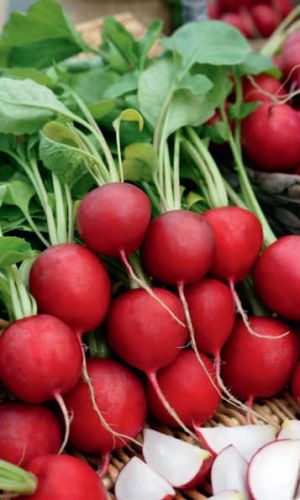 Редис БИЗНЕС КЛАСС