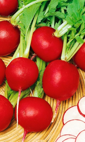 Редис ГРАНАТОВЫЙ ШАР