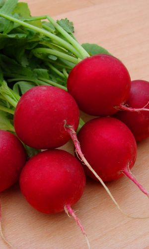 Редис круглый РУССКИЙ ДЕЛИКАТЕС®