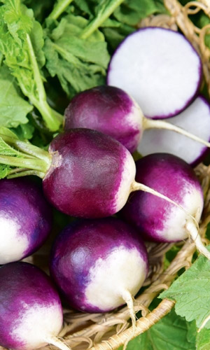 Редис ТЁМНАЯ ЛОШАДКА