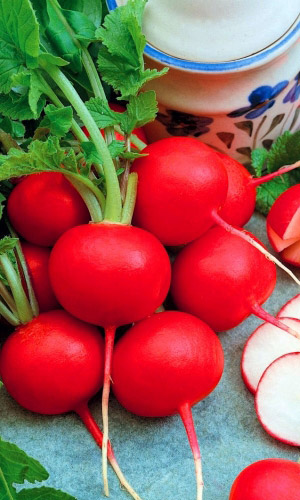 Редис УРАЛЬСКИЙ ЭКСПРЕСС F1