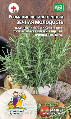 Розмарин ВЕЧНАЯ МОЛОДОСТЬ &mdash; Замедляет процесс старения! Активирует обмен веществ! Очищает воздух!