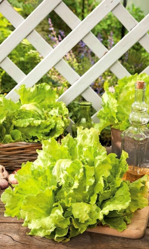 Салат КАРАМЕЛЬКА