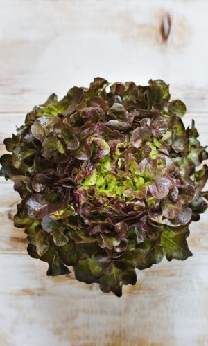 Салат НАСТОЯЩИЙ ГУРМАН