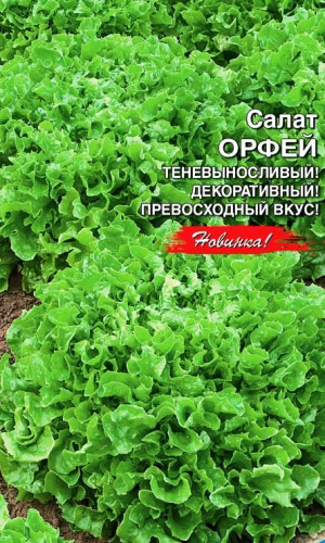 Салат ОРФЕЙ