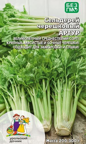 Сельдерей черешковый АРТУР