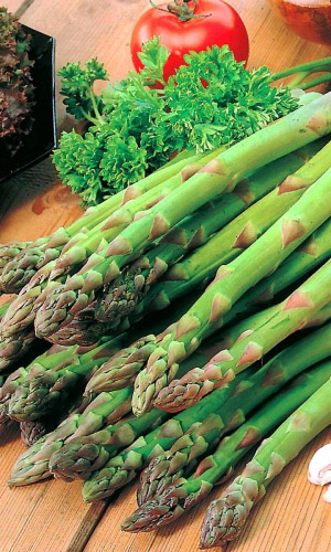 Спаржа ЦАРСКИЙ ОБЕД