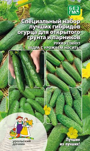 Специальный набор лучших гибридов огурца ДЛЯ ОТКРЫТОГО ГРУНТА И ПАРНИКОВ
