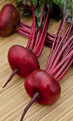 Свёкла ЦЫГАНСКИЙ БАРОН