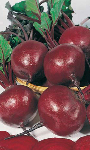 Свёкла ФУРОР